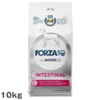 フォルツァ10 インテスティナル アクティブ 胃腸ケア 中粒 犬用 10kg