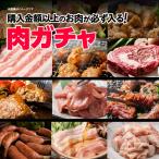 福袋 食品【3000円コース】肉ガチャ 肉福袋 冷凍 肉 精肉 加工品 詰め合わせ グルメ 福袋2025 爆買