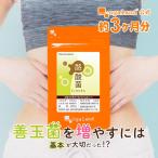酪酸菌(約3ヶ月分)ダイエット サプリ サプリメント 短鎖脂肪酸 すっきり 善玉菌 体内フローラのサポート 健康 美容 ダイエット オーガランド ポイント利用