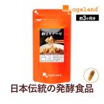 納豆キナーゼ (約3ヶ月分) ナットウキナーゼ 納豆菌 納豆 発酵 黒タマネギ末 高麗人参エキス末 難消化性デキストリン 納豆が苦手な方に ポイント利用