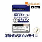 ルテオリン (約1ヶ月分) サプリメント 尿酸値 プリン体 サプリ お酒 好きな方へ 機能性表示食品 健康 生活習慣 クエン酸 ナイアシン ポイント利用