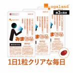 みまもる (約3ヶ月分) ルテイン サプリメント 機能性表示食品 目 の機能を 改善 サプリ アスタキサンチン 亜鉛 ビタミン メグスリノキ ポイント利用