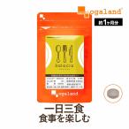 サラシアエキス(約1ヶ月分)サプリメント ダイエット サポート サラシノール サプリ スリランカ産 コタラノール カテキン タンニン 健康 ポイント利用