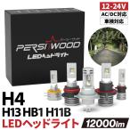 H4 LED バルブ ヘッドライト フォグランプ H13 HB1 H11B 9004 車検対応 バイク トラック DC 12V 24V AC 12000LM 2本 cn-c