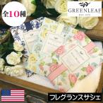 GREEN LEAF(グリーンリーフ)フレッシュセンツ ラージ(サシェ)