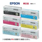 【6色セット】エプソン ディスクデュプリケーター用 純正インク PP-100, PP-100II, PP-100III, PP-50, PP-50II, PP-50BD 他対応