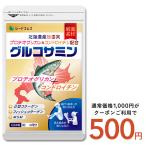 プロテオグリカン 北海道産 鮭由来 コンドロイチン配合 グルコサミン+コンドロイチン+MSM 約1ヵ月分 サプリ サプリメントワンコイン 500円ぽっきり