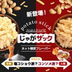 お試し 訳あり ポイント消化 プチプラ お菓子 訳ありじゃがザック160g 訳あり 選べるじゃがザック 塩コショウ コンソメ おやつ じゃがいも スティック おつまみ