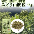 YouTube 有吉ゼミで紹介 レビューで ブランド花椒 ぶどう山椒 粒 15g 篠畑農園 和歌山県 山椒 送料無料 ポイント利用