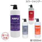 フィヨーレ クオルシア カラーシャンプー 1000ml 選べる各種 (小型宅配便送料無料)(HK発)
