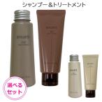 ホーユー バイカルテ リペアシャンプー 75ml &amp; セラムトリートメント 60g 選べるセット FH+ CH+ SS+ MS+ (送料無料)