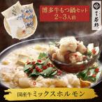 もつ鍋 牛もつ鍋セット(2-3人前)お取り寄せ鍋セット もつ鍋セット 取り寄せ 肉 料理  国産 牛もつ 博多若杉