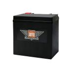SUPER NATTO スーパーナット ハーレー専用AGMバッテリー【スーパーナット】 HARLEY-DAVIDSON ハーレーダビッドソン 鉛系バッテリー バッテリー関連