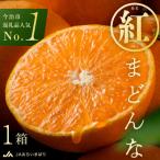 ふるさと納税 今治市 【先行受付】紅まどんな(化粧箱入)3L〜L 10〜15玉 11月中旬〜12月中旬にお届け 