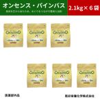 ふるさと納税 四條畷市 松の精油の薬用入浴剤 オンセンス・パインバス 2.1kg×6袋(医薬部外品) 乾卯栄養化学
