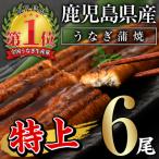 ふるさと納税 曽於市 無投薬!鹿児島県産うなぎ蒲焼セット&lt;特上&gt;(計960g・ 約160g以上×6尾) タレ・山椒付