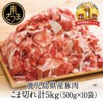 ふるさと納税 南さつま市 鹿児島県産 豚こま切れ 計5kg(小分け500g×10袋)国産 細切れ 小分け 冷凍