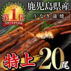 ふるさと納税 曽於市 無投薬!鹿児島県産うなぎ蒲焼セット&lt;特上&gt;(計3.2kg以上・ 約160g以上×20尾)タレ・山椒付