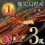 ふるさと納税 曽於市 無投薬!鹿児島県産うなぎ蒲焼セット &lt;特上&gt;(約160g以上×3尾)タレ・山椒付き