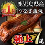 ふるさと納税 曽於市 無投薬!鹿児島県産うなぎ蒲焼セット &lt;極上&gt;(約160〜236g×7尾)タレ・山椒