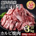 ふるさと納税 曽於市 【3回定期】A5等級鹿児島県産黒毛和牛カルビ焼肉1kg