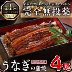 ふるさと納税 曽於市 鹿児島県産うなぎ蒲焼 (1尾あたり136g〜155g×4尾、タレ・山椒付き)