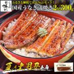ふるさと納税 有田市 【寄付額変更 15,000円→13,000円】大サイズ 国産うなぎ蒲焼 2尾(300g〜338g)