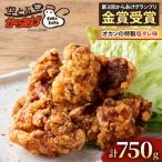 ふるさと納税 四條畷市 空とぶからあげ 750g(250g×3パック)オカンの特製塩ダレ味 電子レンジで温めるだけ 冷凍便
