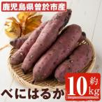ふるさと納税 曽於市 鹿児島県産 紅はるか10kg