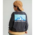 tシャツ 「WEB限定/DRC」アソートグラフィック長袖Tシャツ キッズ 子供服 男の子 女の子