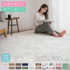ラグ カーペット 洗える 4.5畳 おしゃれ オールシーズン 200×300 防ダニ ラグマット 滑り止め付 フランネル ホットカーペット 床暖房対応 北欧
