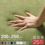 ラグ カーペット 厚手 低反発 3畳 おしゃれ オールシーズン 200×250cm 防ダニ ラグマット 滑り止め付 もっちり ウレタン フランネル 北欧