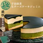 チーズケーキ 抹茶ケーキ 宇治 抹茶 生チーズケーキ ジェミニ 4号 直径12cm 2名〜4名 お取り寄せ 京都 スイーツ 誕生日ケーキ バースデーケーキ 至高グルメ