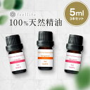 アロマオイル 精油【5ml】セットが選べる 5ml×3本【送料無料】【エッセンシャルオイル 精油 精油セット アロマディフューザー アロマ】