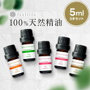 アロマオイル セット 精油【5ml】シーンで選べる 5ml × 5本 セット【エッセンシャルオイル ラベンダー レモングラス オレンジ ローズ ゼラニウム ベルガモット ローズウッド レモン アロマディフューザー アロマ 】送料無料