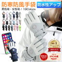 スキー グローブ レディース メンズ スノーグローブ スキー スノーボード スノボ グローブ ミトン 手袋 五本指登山 バイク 自転車 滑り止め 完全防水 防寒 防風 撥水 暖かい スマホ対応 裏起毛 スノグローブ スノーボーグローブ 冬用