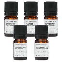 お試し よりどり5本セット (各5ml) エッセンシャルオイル 精油 アロマオイル 【送料無料】 全30種 メール便 (追跡番号付き) 代金引換不可 アロマディフューザー アロマ加湿器