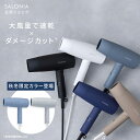 《公式店》 【SALONIA スピーディー イオンドライヤー】楽天1位★累計400万台突破!サロニア 送料無料 1年保証付 ◆30日間全額返金保証◆速乾 大風量 プレゼント ギフト ヘアアイロン ヘアードライヤー 旅行 hk
