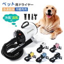 \月末セール!1点7%OFF&2点12%OFF/「ランキング1位受賞」【Petmoon】ペットドライヤー PSE取得商品 犬 ペットヘアードライヤー ペット用ドライヤー 30-55度 4種類ノズル付き ブロワー ペット用送風機 犬用ドライヤー「小中大型犬におすすめ!」1500W