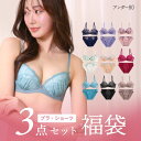 ブラジャー ショーツ 3点セット 福袋 選べる5タイプ おまかせ 刺繍レース おしゃれ シンプル B80 C80 D80 E80 F80 3点セット アンダー80 アンダー大きいサイズ アンダー80 下着 レディース インナー ブラセット ブラショーツ 上下セット 全5色 B80-F80